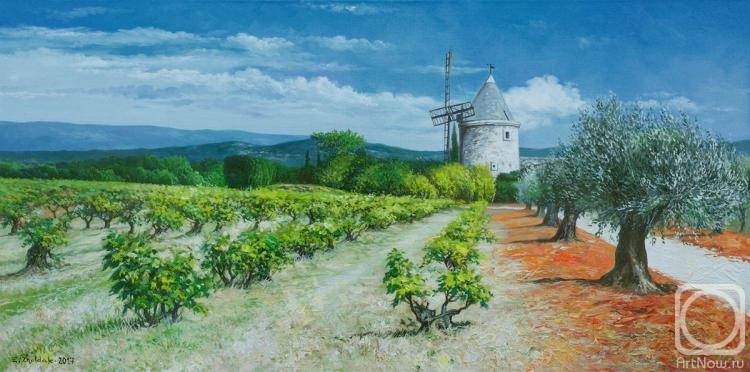 Zhaldak Edward. Provence. Vineyards and olive