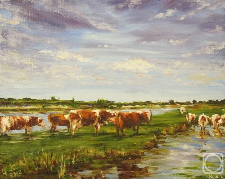 ������� ������ �� ������. �������� ������. ���������