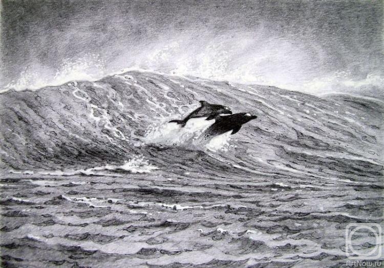 �������. ������� ����. � ������ ������