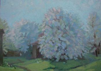 ������� ���� �� �����