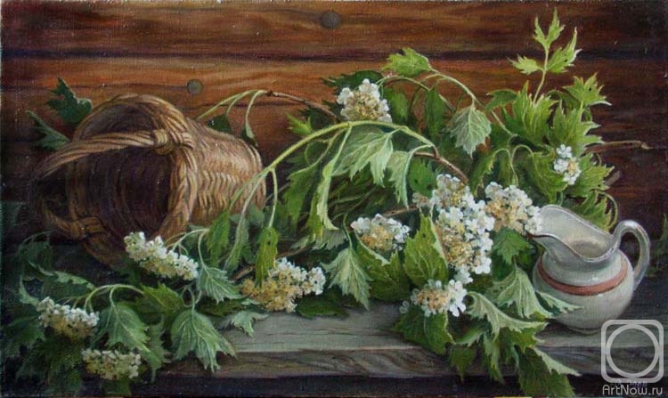 Shumakova Elena. Viburnum branch