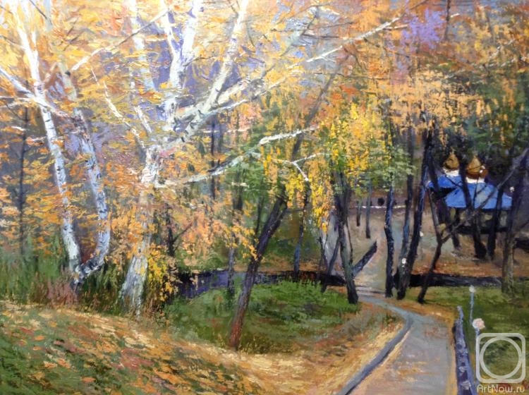 Chelyaev Vadim. The road to the spring