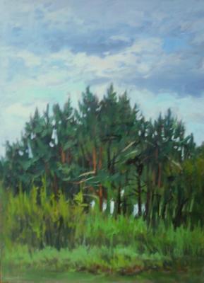 Pines (etude). Toporkov Anatoliy