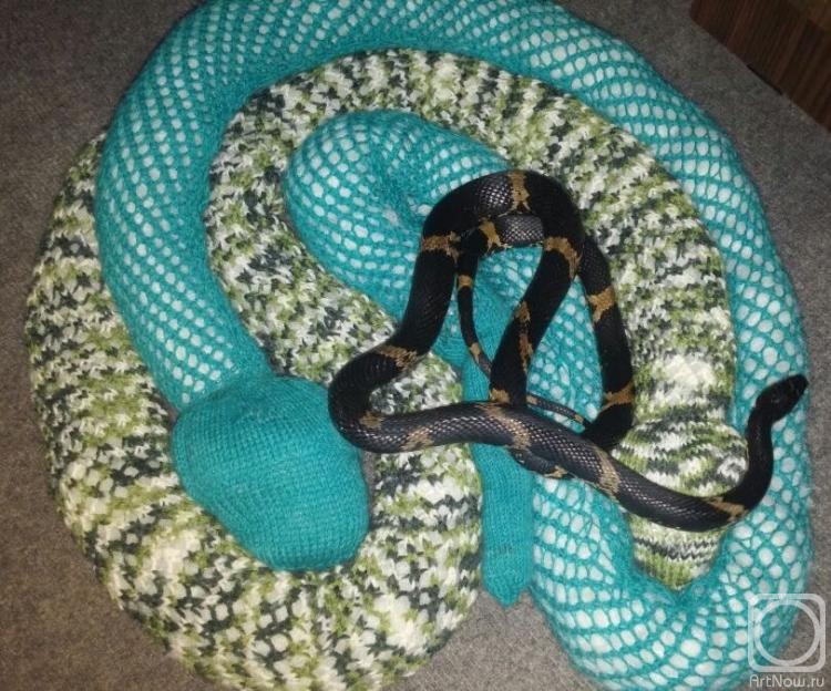 ������� ���������. ��������� �������