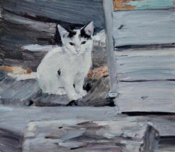 From the life of stray cats. Nikulina Tatiana