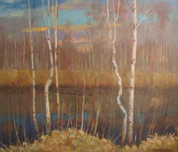 Early spring.Birches at a pond