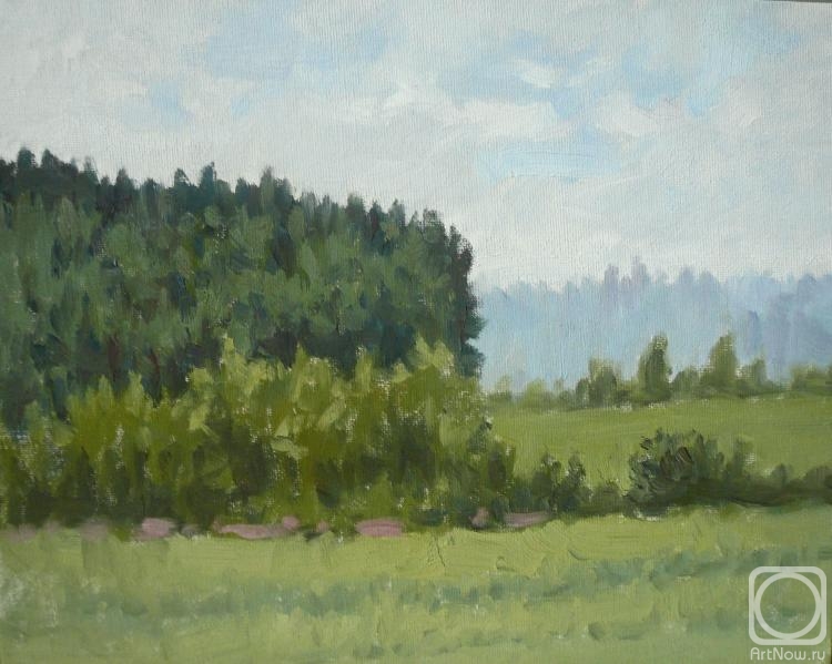 Toporkov Anatoliy. Field and forest edge