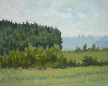 Field and forest edge. Toporkov Anatoliy