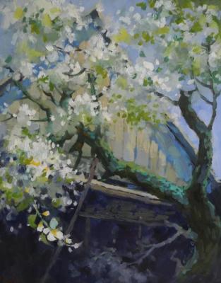 Ivanova Olesya Grigorievna. Old pear blossoms