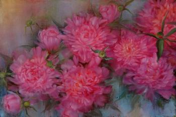 ����� ����. �������� ��������