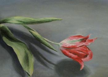 Tulip. Ivanova Nadezhda