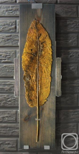 �������� �����. ����� 1