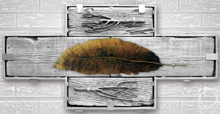 �������� �����. ���� � �����