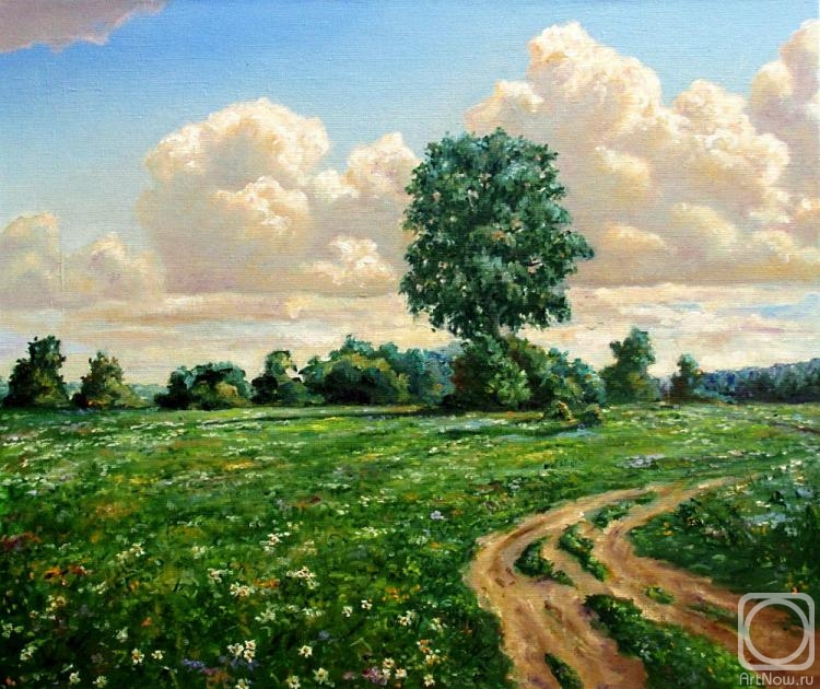 Fedosenko Roman. The clouds