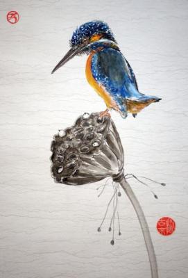 Kingfisher on a dried lotus