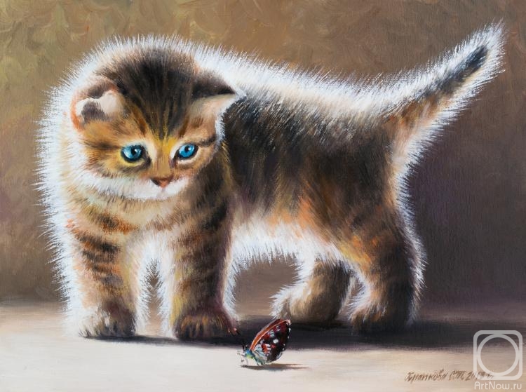 ������� ������ �� ������. �������� ��������. ������������ �������