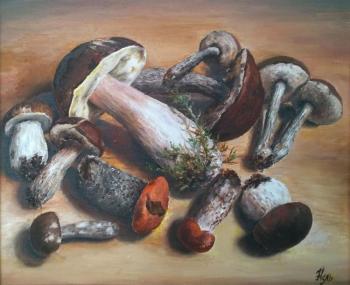 Mushrooms. Ivanova Nadezhda