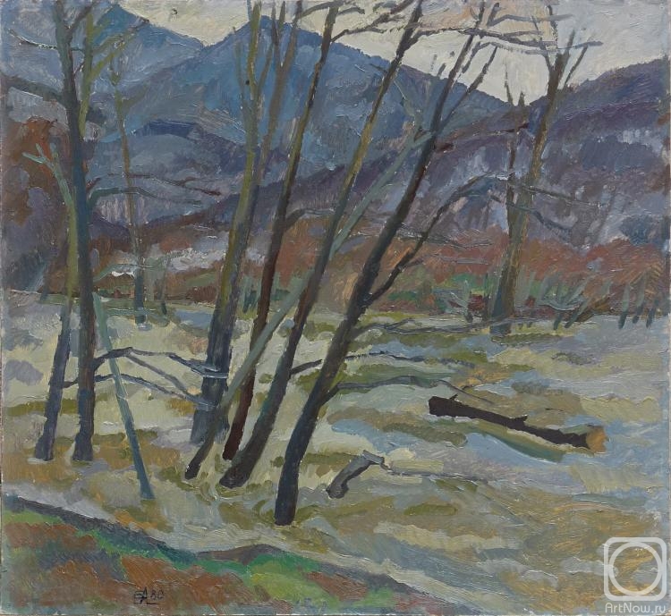 Arepyev Vladimir. In the mountains after the rain