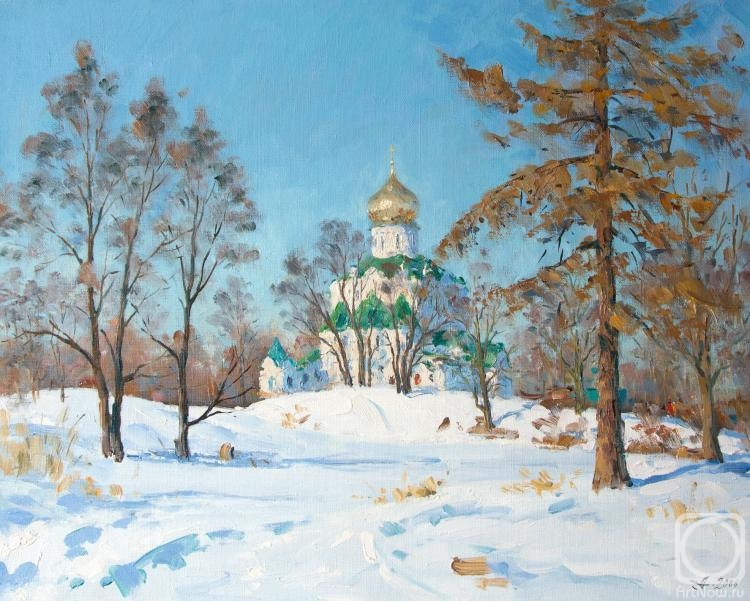 Alexandrovsky Alexander. Theodore Cathedral. Winter