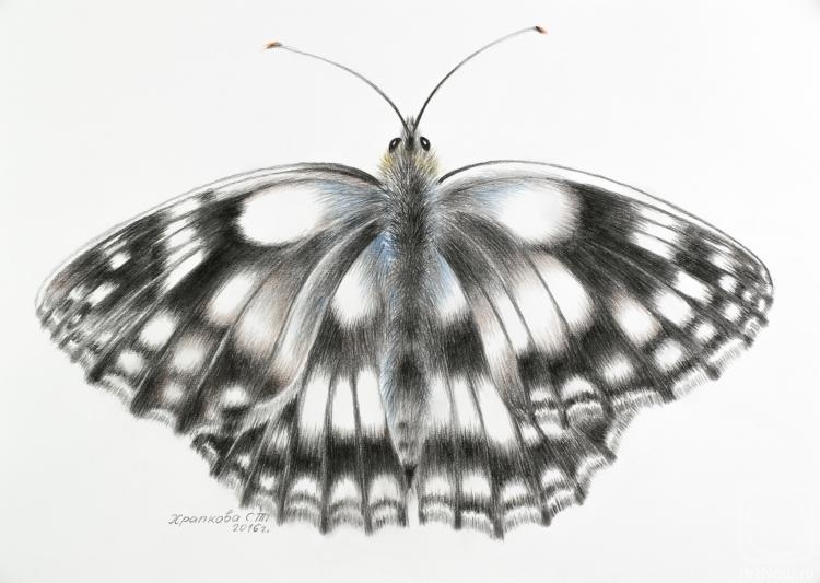 �������. �������� ��������. ������������ �������