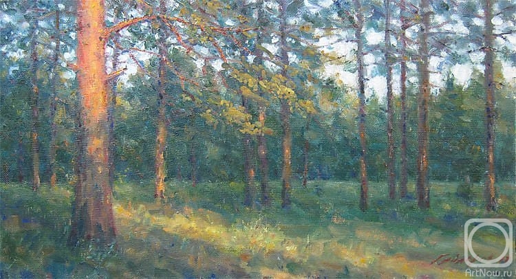Gaiderov Michail. Evening in the pine forest