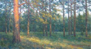 Evening in the pine forest. Gaiderov Michail