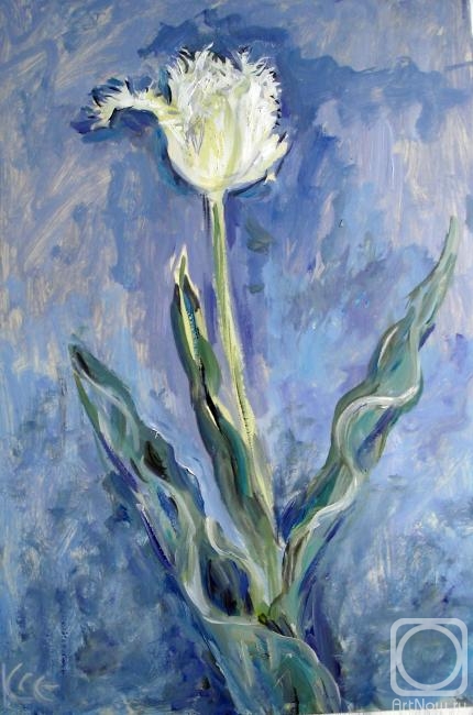 Sechko Xenia. Tulip as a white swan