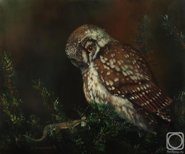 ������� ������ �� ������. ���������� �����. ��� ��� ��� ����