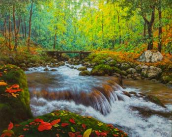 Autumn leaves by a fast river. Potas Oleg
