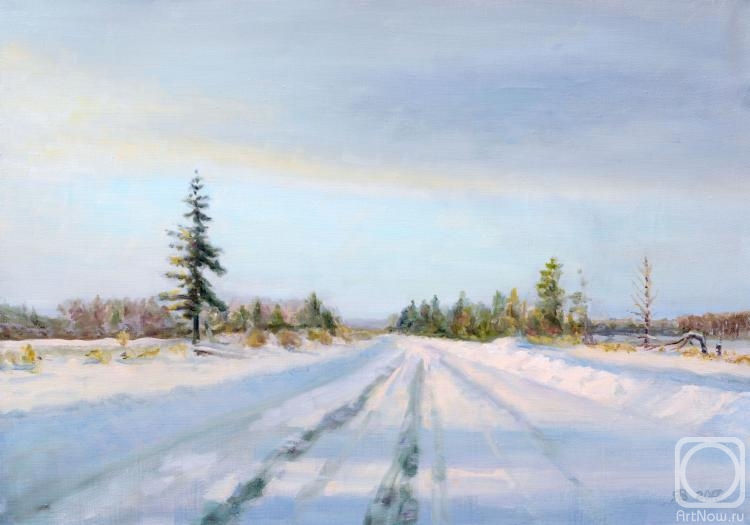 Yaskin Vladimir. Winter road