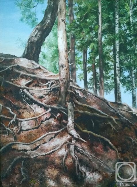 �������. ������� �������. �����