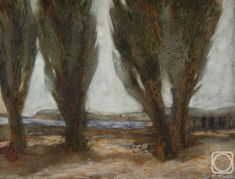 Novikov Vladimir. Three trees