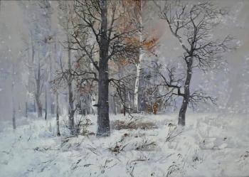Snow in November. Shaihetdinov Vakil