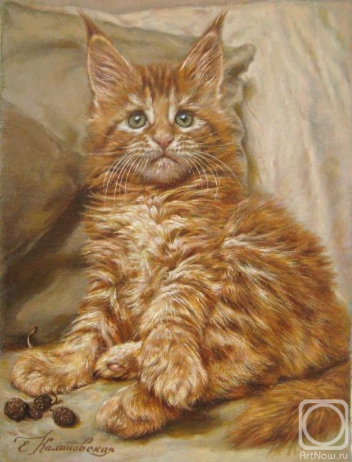 Kalinovskaya Ekaterina. "Red." Kitten breeds Maine Coon
