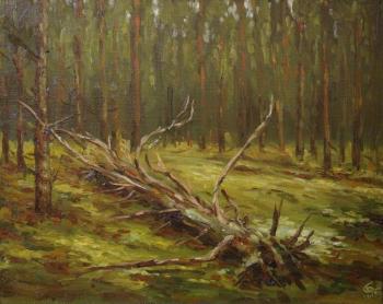 ������� ���� �� ��������� ���������