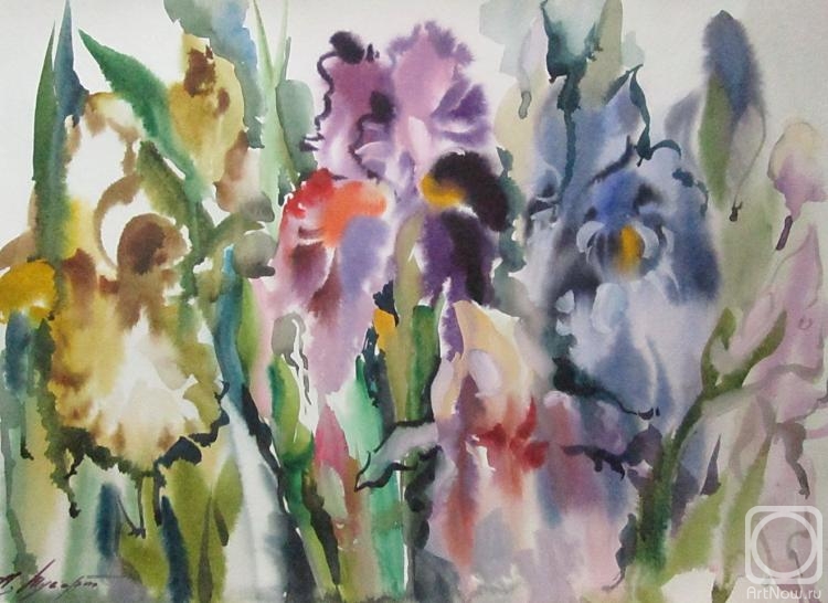 �������. ������ �������. ����� ������������