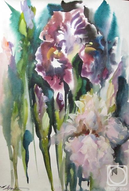 �������. ������ �������. �����