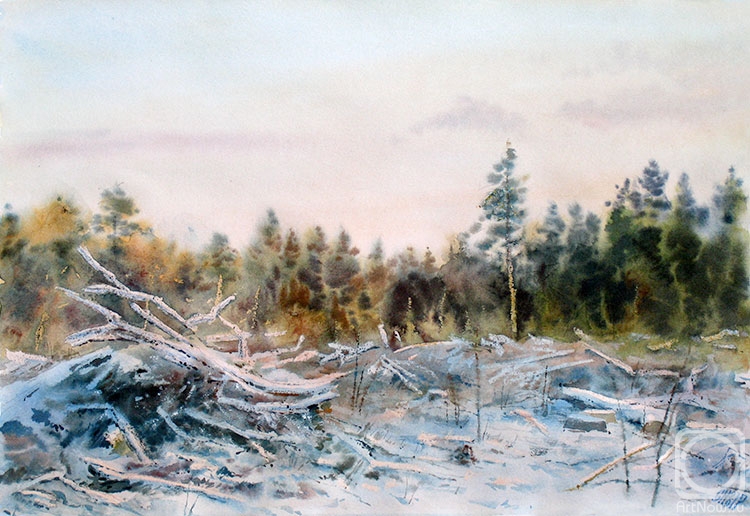 Nikulin Sergey. Logging