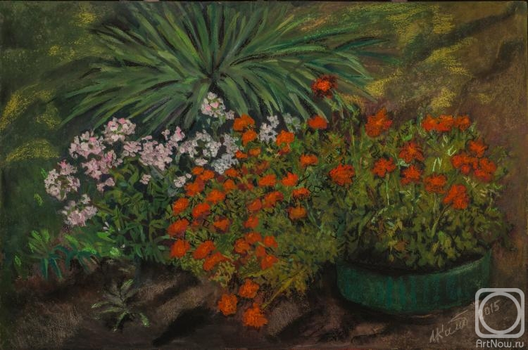 �������. ��������� �����. ������ ������