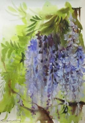 ������� ����������