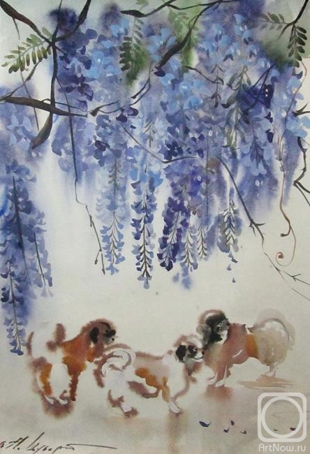 �������. ������ �������. ��������