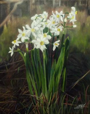 Narcissus. Savelyshkina Yulia