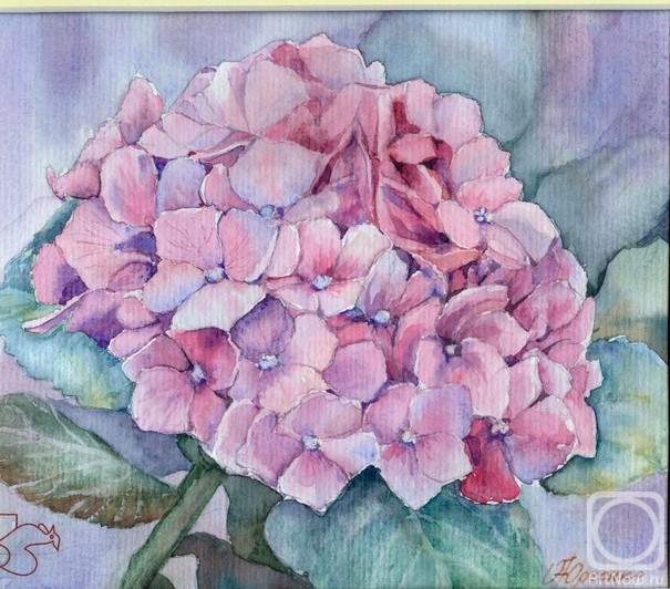 �������. ������� �����. ���������