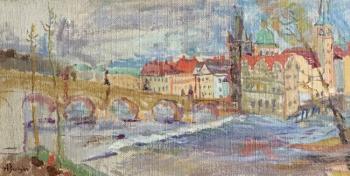 Charles Bridge. Prague. Durinyan Ashot
