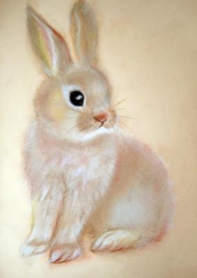 Bunny. Kondyurina Natalia