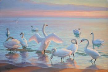 Swan morning. Zhornick Oleg
