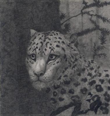 Snow leopard at the tree. Dementiev Alexandr