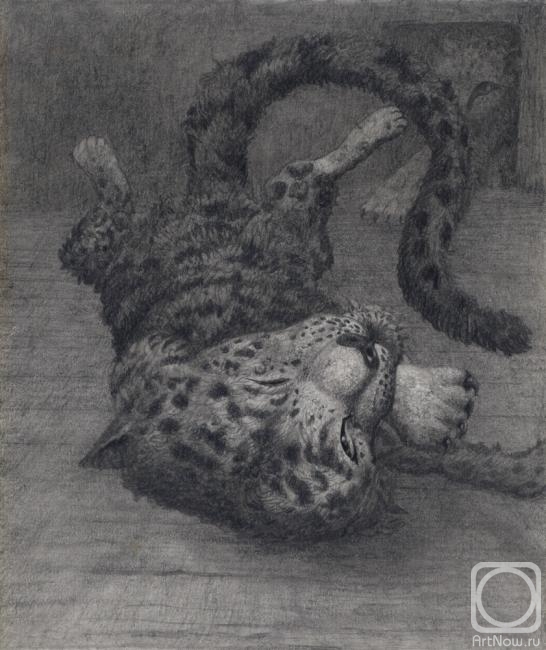 �������. ��������� ���������. ����� �����