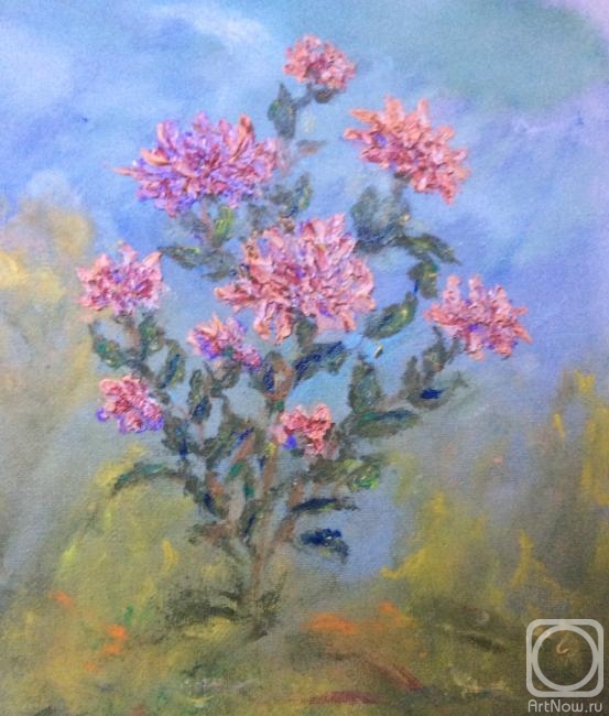 ������� ������ �� ������. ������ ����. ���� ������� ���������