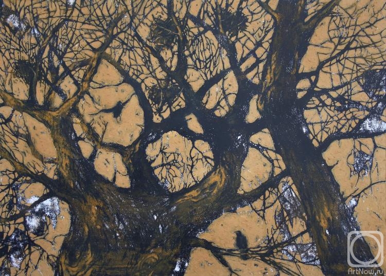 �������. �������� �����. �����